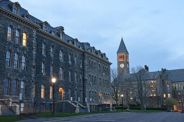 Cornell MiM Cover Image