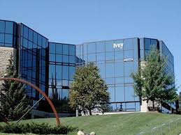 Ivey MBA